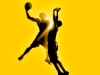 basket_img_seo-page
